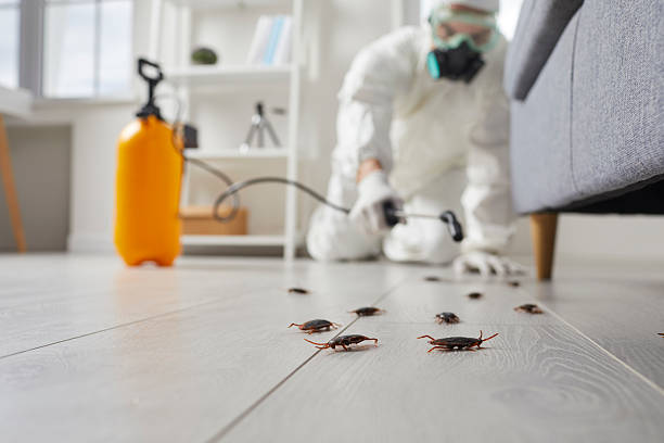 Commercial Kitchen Cockroach Control in Mountville